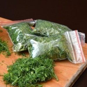 Comment conserver l'aneth pour l'hiver à la maison: les meilleures méthodes de stockage