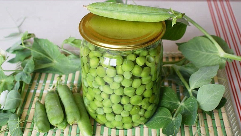 Comment conserver les pois verts pour l'hiver: nous protégeons la culture des dommages de trois manières différentes