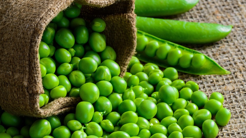Comment conserver les pois verts pour l'hiver: nous protégeons la culture des dommages de trois manières différentes