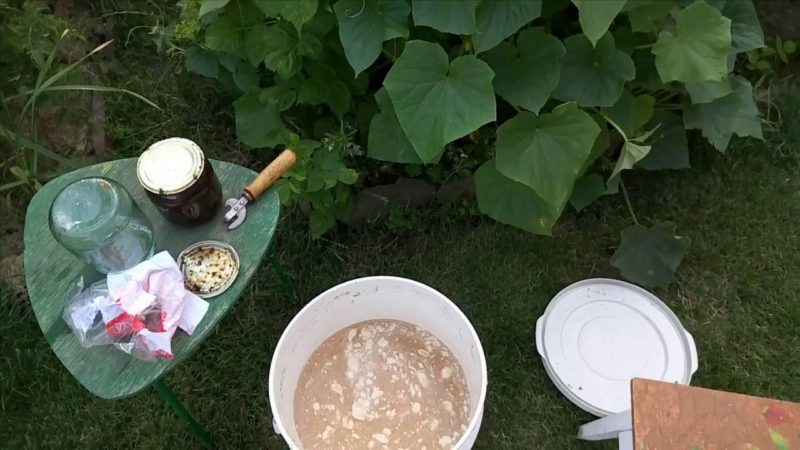 Quelle vinaigrette peut être utilisée pour les concombres dans une serre pendant la fructification