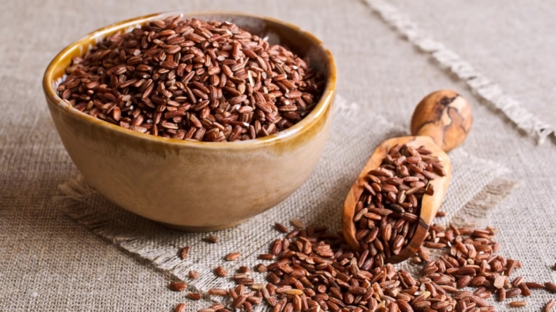 Teneur en calories et propriétés utiles du riz brun pour le corps humain