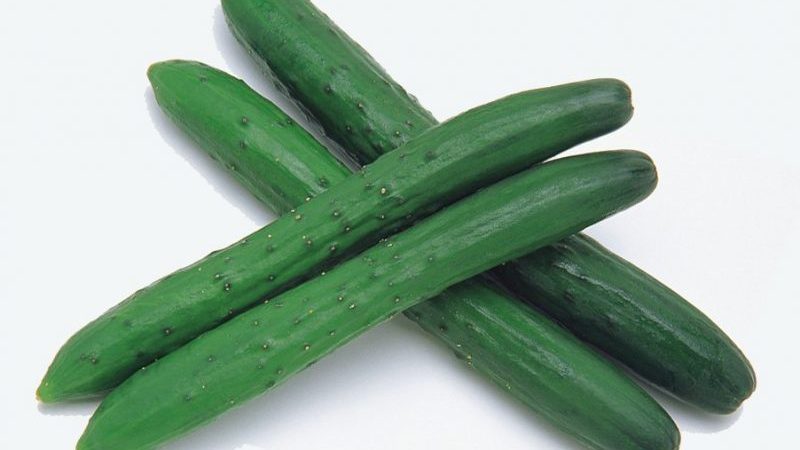 Quelle est la particularité du concombre chinois et comment obtenir une récolte décente?