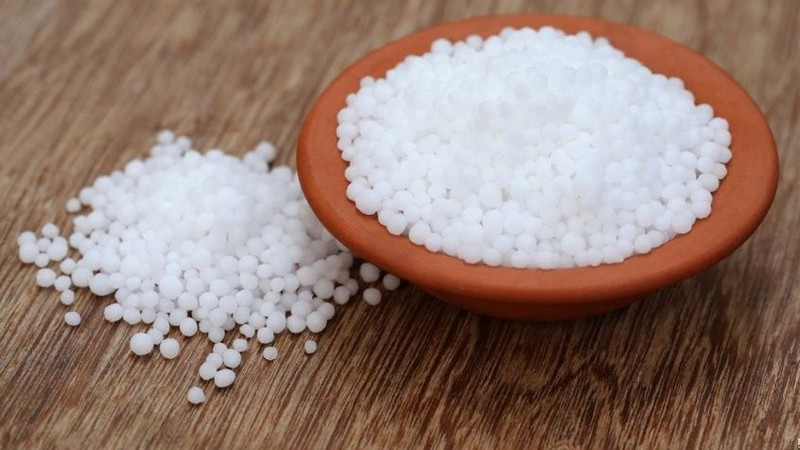 Comment bien nourrir les groseilles et les groseilles au printemps