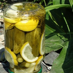 Les meilleures recettes de concombres marinés croustillants au citron pour l'hiver