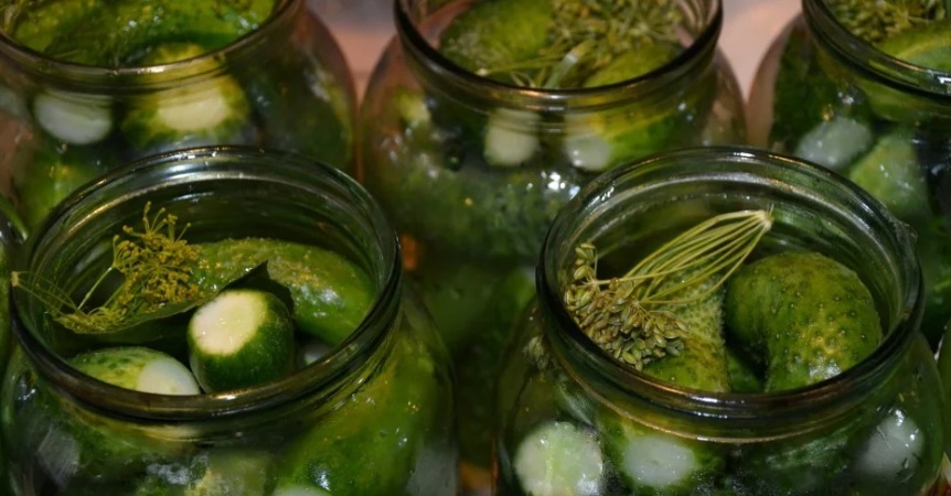 Les meilleures recettes pour récolter des concombres aigres-doux pour l'hiver