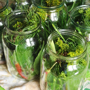 Les meilleures recettes pour mariner les concombres à froid sous un couvercle en nylon