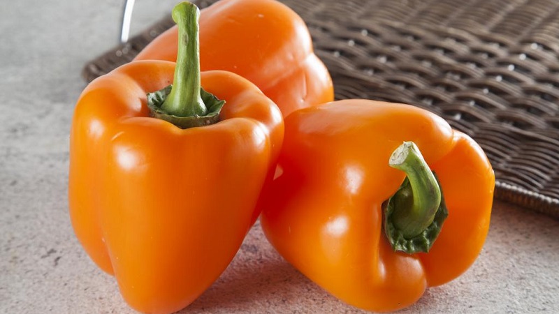 Les meilleurs poivrons doux pour les serres de la région de Moscou