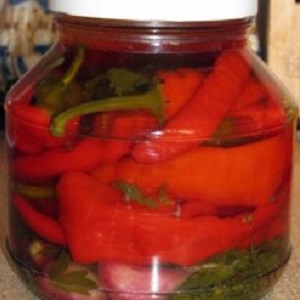 Les meilleures façons de récolter les piments forts pour l'hiver: recettes pour conserver et sécher les assaisonnements chauds