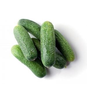 Concombres délicieux et faciles à cultiver Lukhovitsky