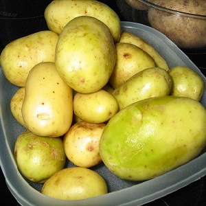 Est-il possible de manger des pommes de terre vertes, est-ce dangereux pour le corps humain et pourquoi