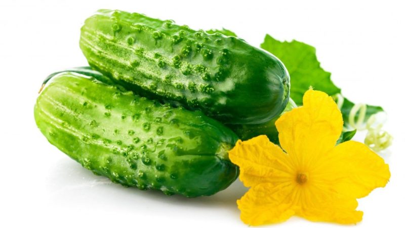 Est-il possible de saler des concombres avec du vinaigre de cidre de pomme pour l'hiver et comment le faire correctement