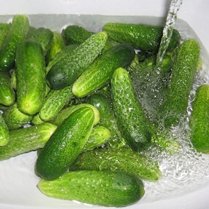 Est-il possible de saler les concombres Zozulya et comment le faire correctement