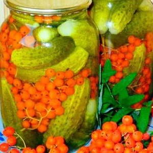 Est-il possible de saler les concombres Zozulya et comment le faire correctement