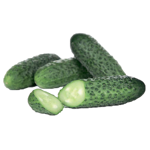 Un hybride sans prétention de concombres Tchaikovsky f1 qui donne une récolte riche même avec un entretien minimal