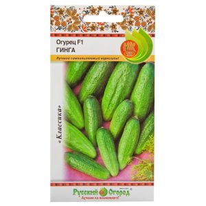 Concombre hybride Ginga F1 d'éleveurs allemands