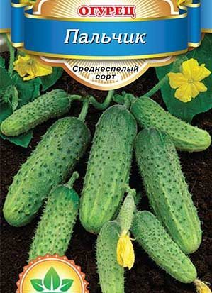 Une variété productive et facile d'entretien de concombres Doigts avec d'excellents fruits savoureux