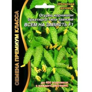 Un merveilleux hybride avec un nom révélateur - des concombres que tout le monde envie