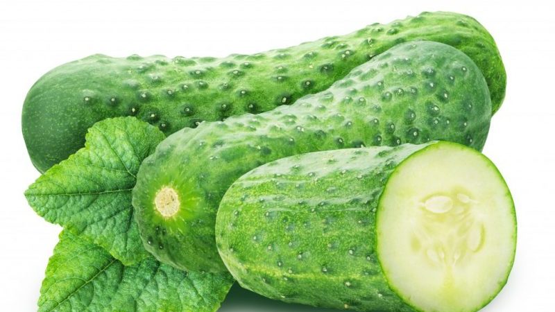 Variété de concombre Vyaznikovskie - incomparable frais et bon pour la récolte d'hiver