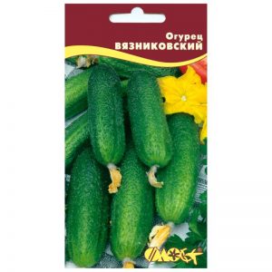 Variété de concombre Vyaznikovskie - incomparable frais et bon pour la récolte d'hiver