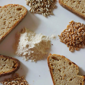 Gluten dangereux: est-ce dans l'avoine