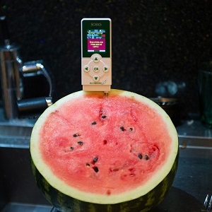 Sucre dangereux: est-ce dans la pastèque?