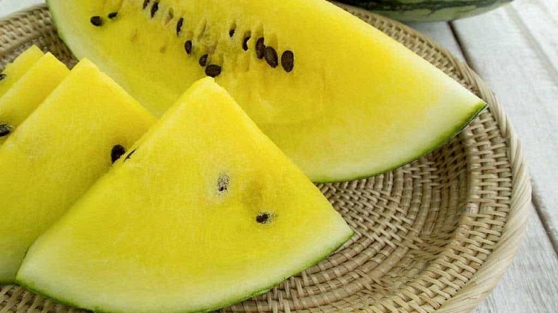 Description et caractéristiques des pastèques jaunes