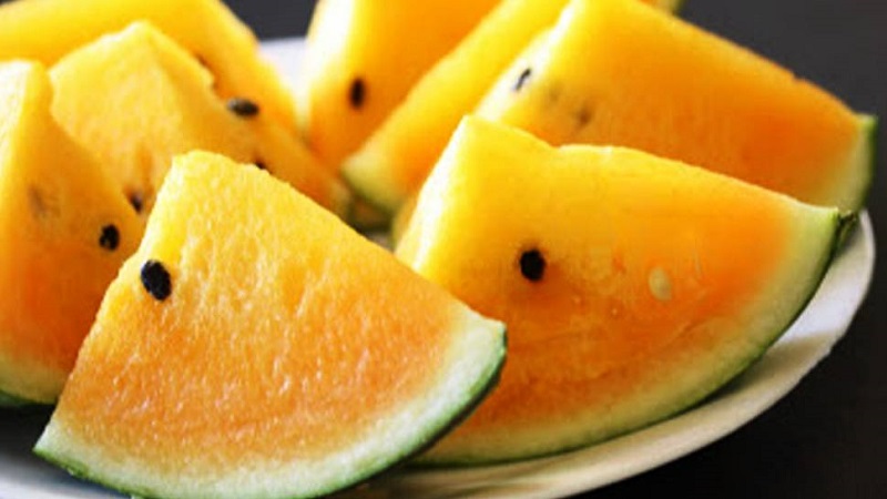 Description et caractéristiques des pastèques jaunes