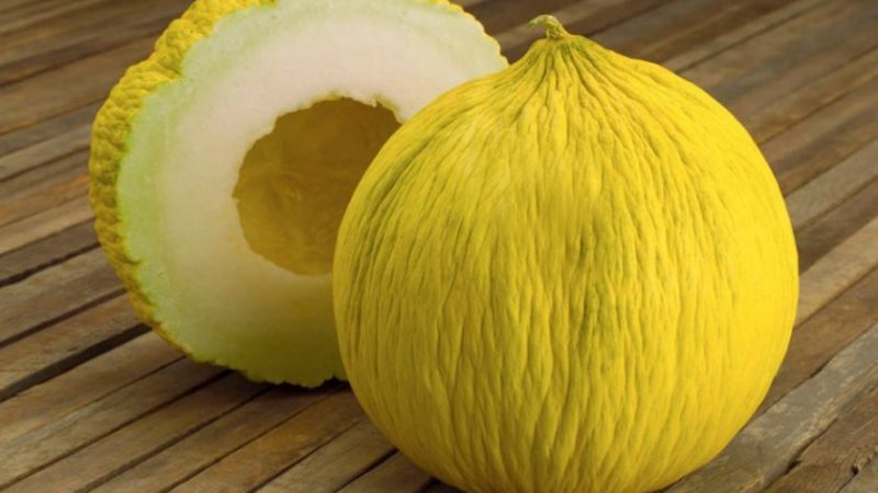 Pourquoi le melon a-t-il un goût amer et pouvez-vous le manger
