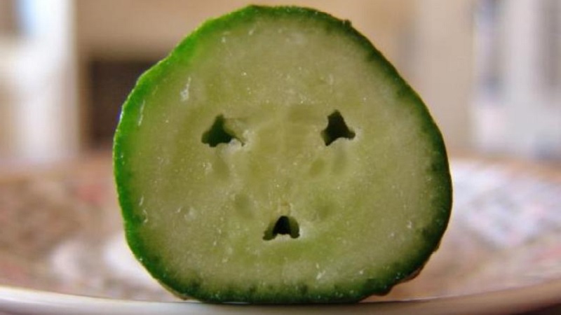 Pourquoi les concombres sont-ils vides à l'intérieur et comment éviter ce problème