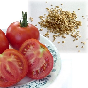 Pourquoi les tomates vertes tombent dans la serre: nous déterminons rapidement la cause et la combattons efficacement