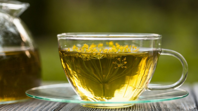 Propriétés utiles des graines d'aneth et contre-indications à leur utilisation