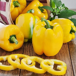 Les avantages et les inconvénients du poivron jaune et y a-t-il une différence entre les couleurs du légume