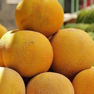 Femme populaire Melon Kolkhoz: teneur en calories, avantages et inconvénients pour le corps