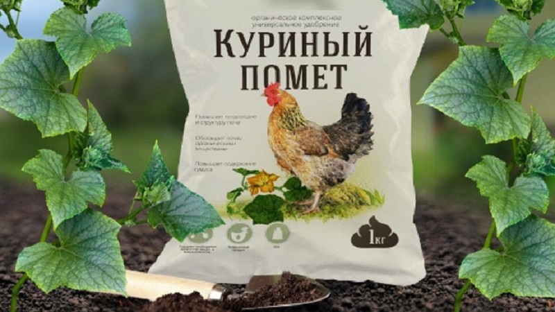 Les moyens les plus efficaces de se débarrasser du raifort dans le jardin rapidement et pour toujours