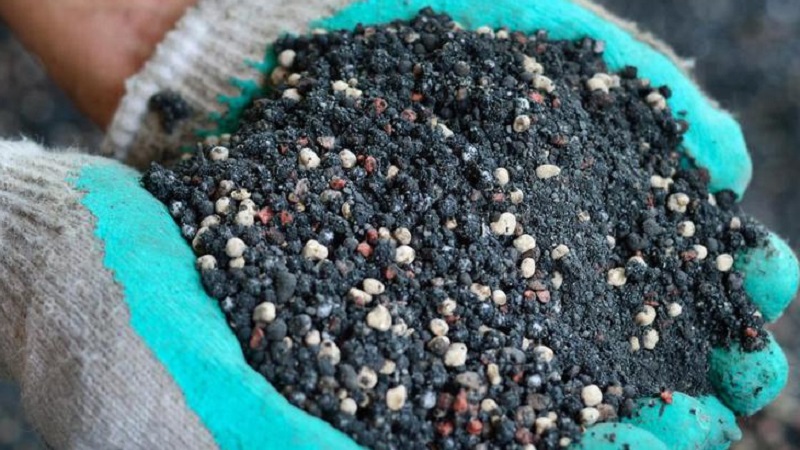 Règles pour nourrir les tomates dans une serre: quels engrais et quand utiliser pour obtenir une récolte riche