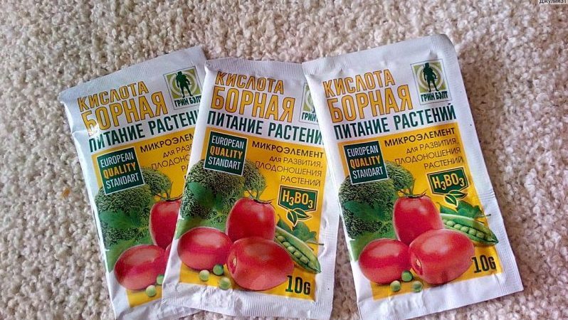 Utilisation de l'acide borique pour les plantes: tomates, concombres, poivrons et autres cultures