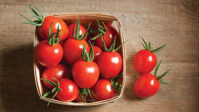 Nous vous expliquerons et vous montrerons comment garder les tomates fraîches pendant longtemps: des astuces de vie intéressantes de propriétaires expérimentés