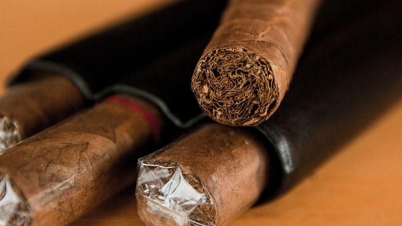 Variétés et caractéristiques des variétés de tabac