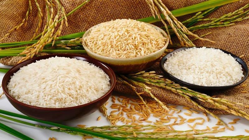 Le riz le plus sain: quelle variété est préférable de manger