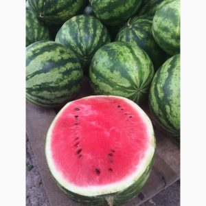 Devez-vous acheter des graines de pastèque? Producteur: un aperçu de la variété des sélectionneurs américains, ses avantages et ses inconvénients