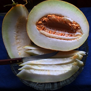 Melon ouzbek sucré et parfumé Gulyabi: comment choisir et comment le cultiver vous-même