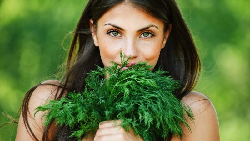 Aneth pour les femmes: ce qui est bon pour le corps