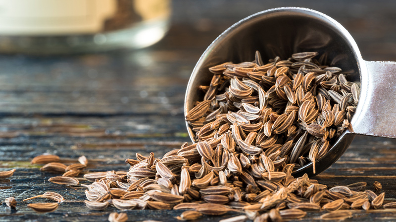 L'aneth et le carvi sont la même chose ou pas: nous comprenons le problème et apprenons à les distinguer