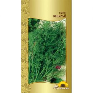 Recommandations pour le soin et la culture de l'aneth Kibray: comment se protéger contre les ravageurs et récolter correctement