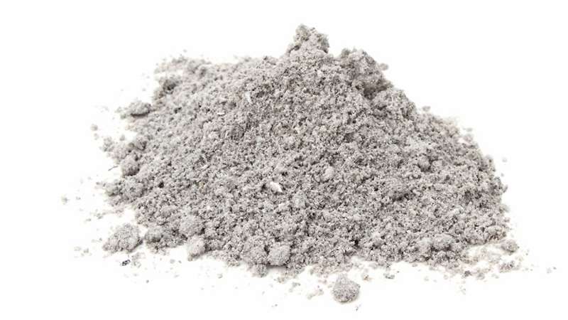 Comment bien prendre soin du chèvrefeuille au printemps - alimentation et taille