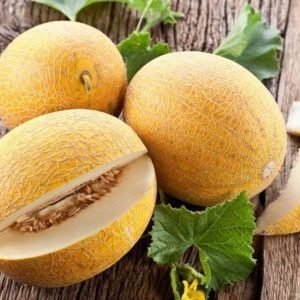 Nous cultivons nous-mêmes une délicieuse récolte: comment un melon pousse en serre, en plein champ et à la maison