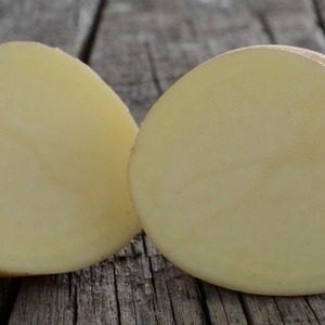 Description et caractéristiques de la variété de pomme de terre Laperla