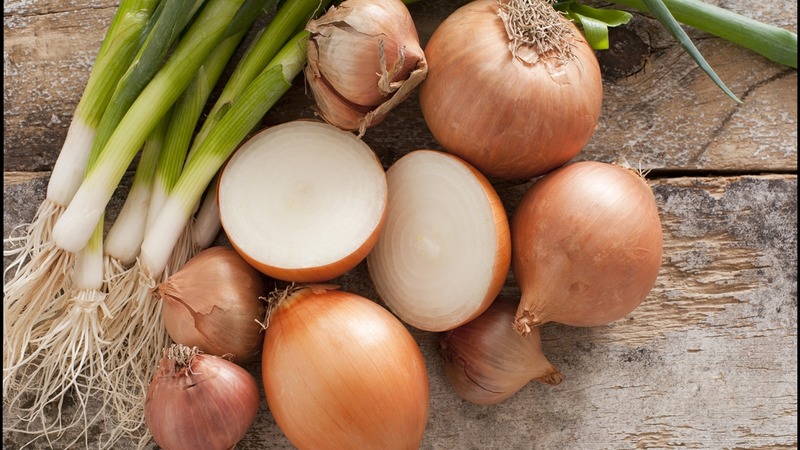 Ensembles d'oignon Sturon: est-il possible de planter avant l'hiver et caractéristiques de soins