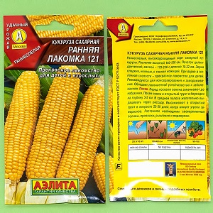 Comment pousse le maïs: photos et étapes de culture, conseils d'agriculteurs expérimentés