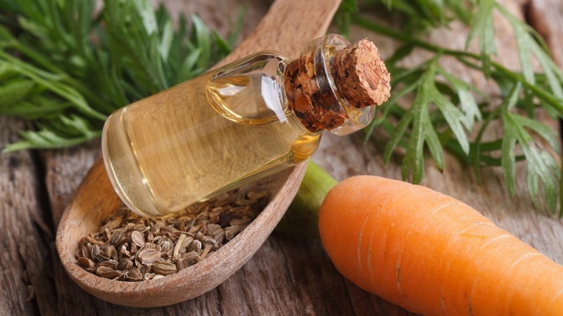 Comment faire de l'huile de graine de carotte et à quoi sert-elle
